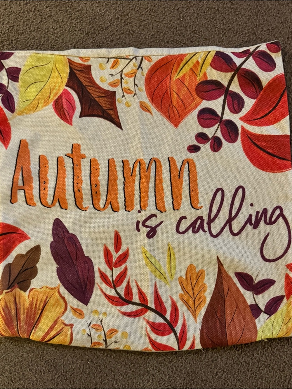 Pillow Cover Autumn Is Calling Decorative - Fall Leaf Print 18”x18”
